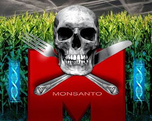 ГМО-гигант "Монсанто" ставит опыты на украинской земле