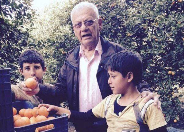 Сирийские производители апельсинов нацеливаются на торговлю с Россией
