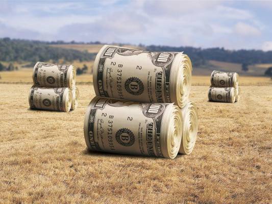 Правительство Украины начнёт распродажу земель сельхозназначения с 2017 года