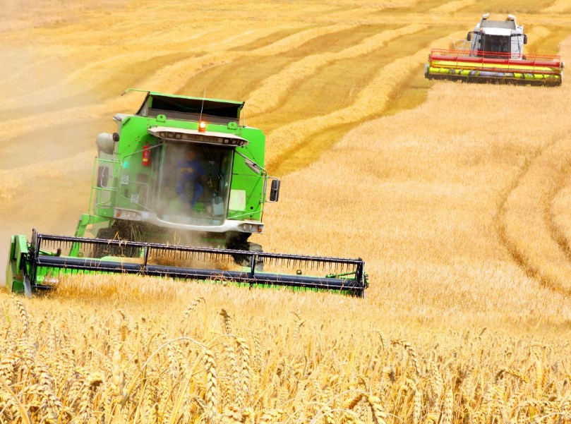 Агроновости: цены на зерновые падают, на удобрения - растут