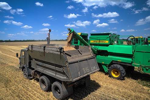 Агроновости: правительство одобрило зерновые интервенции вне бирж
