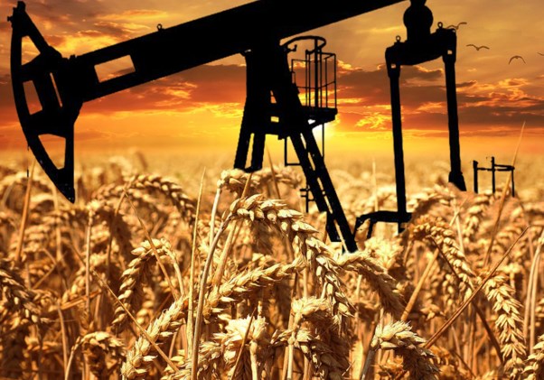 Россия прирастёт нефтью и пшеницей