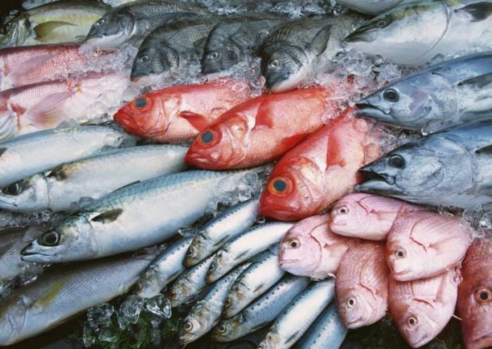 Агроновости: экспорт рыбы