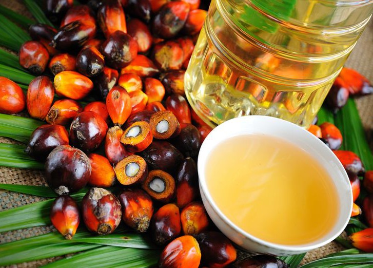 Агроновости: не бойтесь пальмового масла