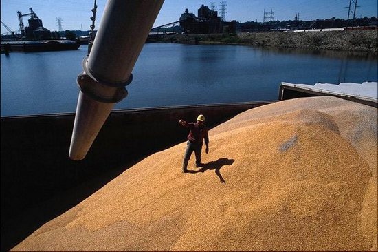 Египет пытается торпедировать российский зерновой экспорт