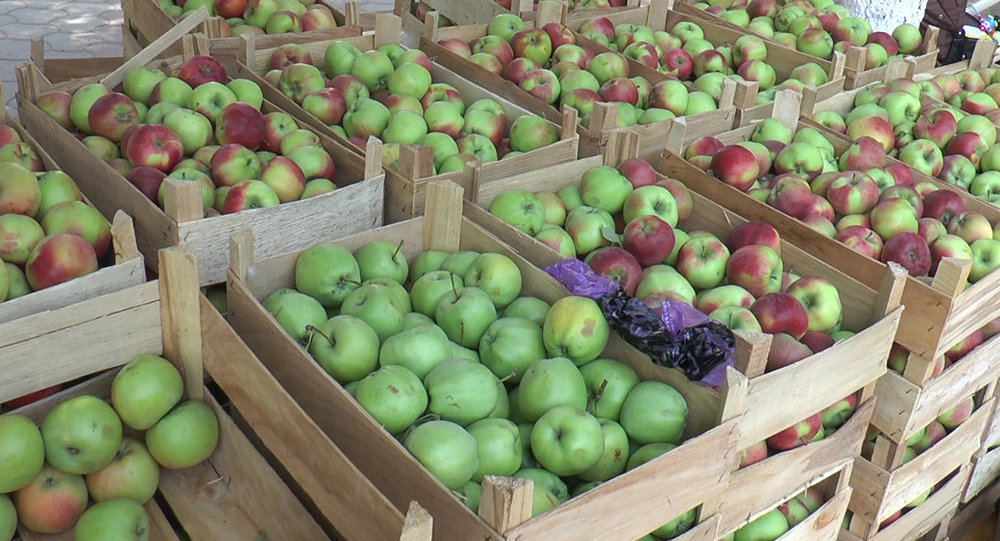 Прикладная магия: Беларусь поставила в РФ пятикратный урожай яблок