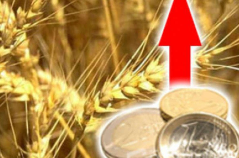 Агроновости: рост цен на зерновом рынке откладывается