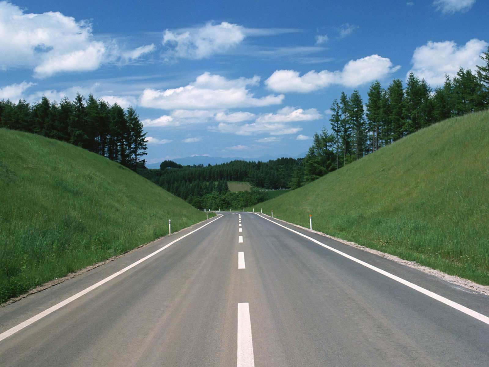 Открытка дороги, цветами мая