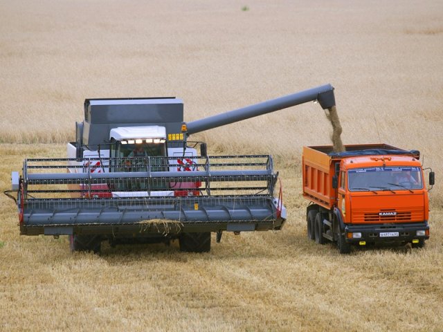 В ЛНР собран урожай, превышающий в 1,6 раза показатель довоенных лет