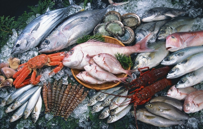 Готовим рыбный бум в Крыму. В Севастополе построят пять океанских траулеров