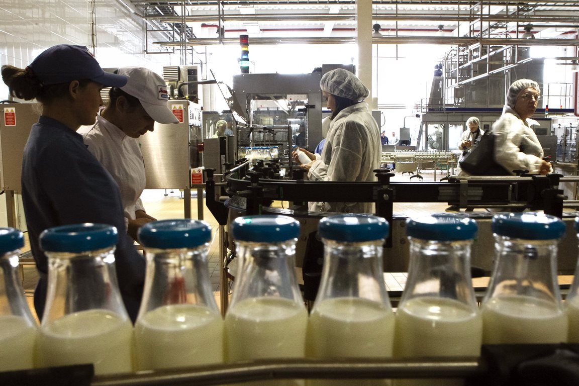 Горькая правда: Украина рискует остаться без молока