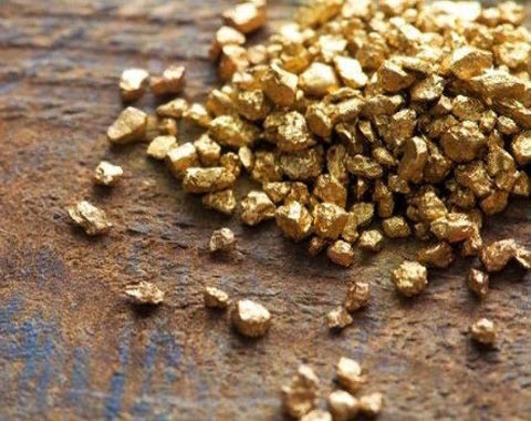 Жажда желтого металла. В России открыто новое месторождение золота