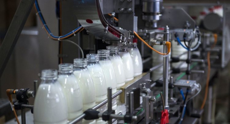 Молочный бум: российский рынок «молочки» растет более пяти лет подряд