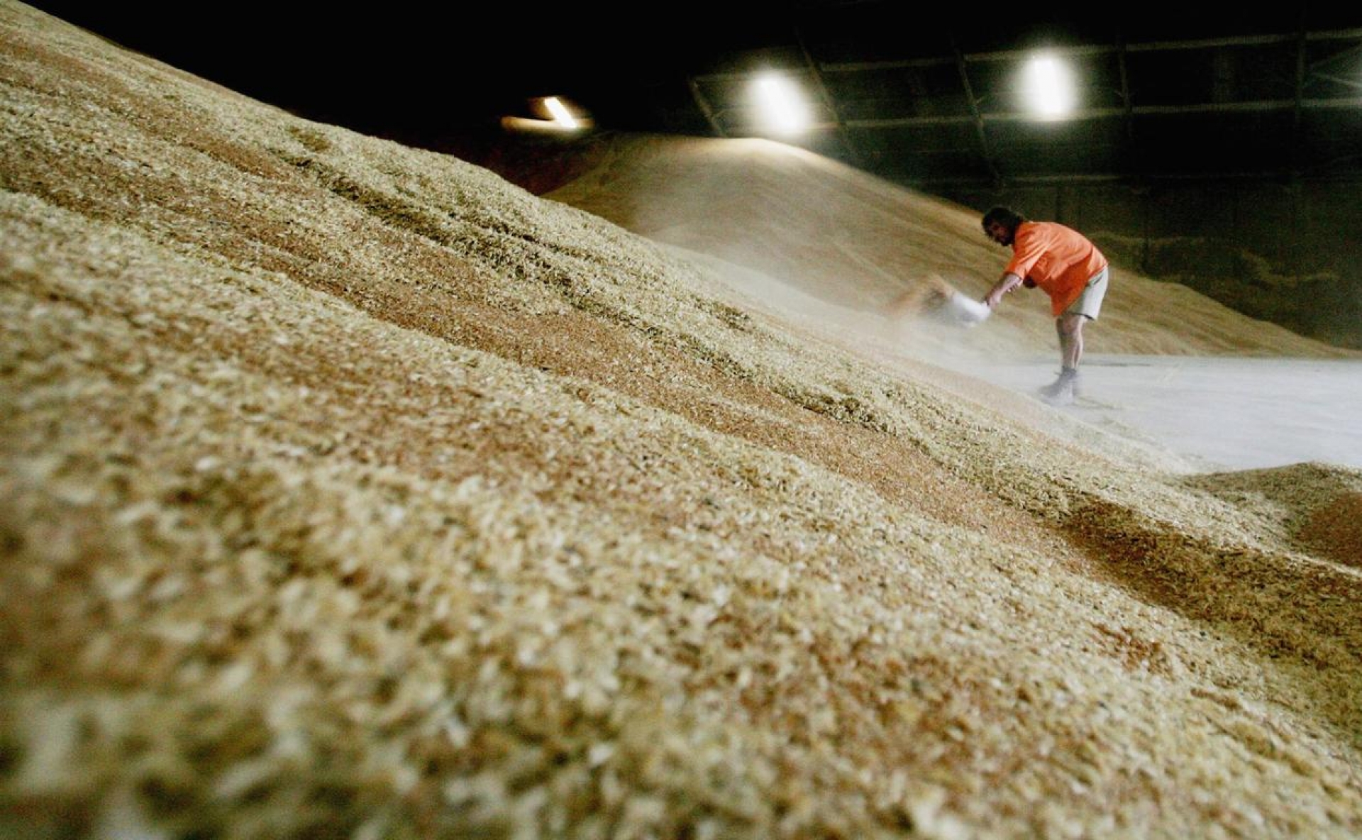 Рассчитывать на Китай в увеличении экспорта российской пшеницы не стоит?