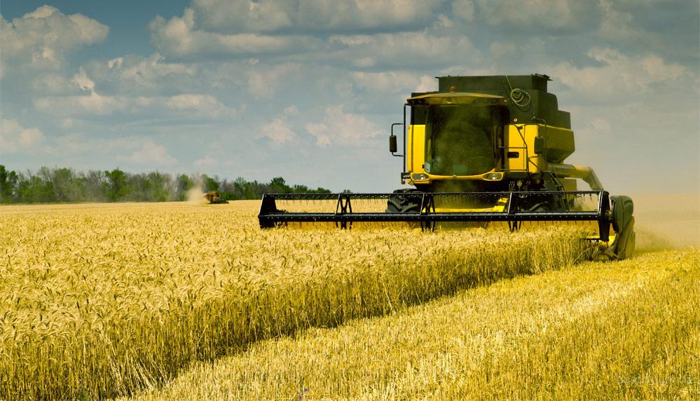 Россия начинает поставлять пшеницу в Венесуэлу