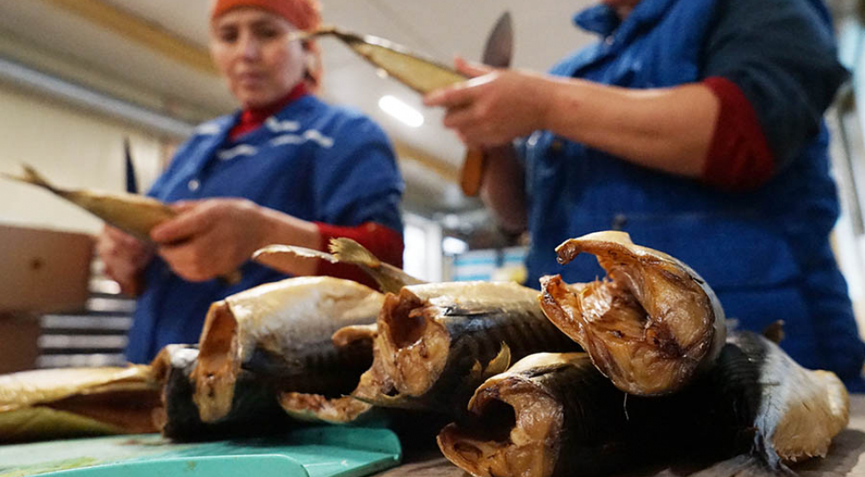 Белоруссия нарастила поставки рыбы в Россию в 15 раз