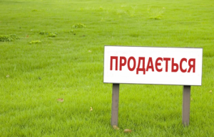 Кабмин обсуждает продажу украинских земель иностранцам