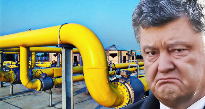 Forbes о газопроводе в обход Украины: «Киев ненавидит, а Европе все равно»