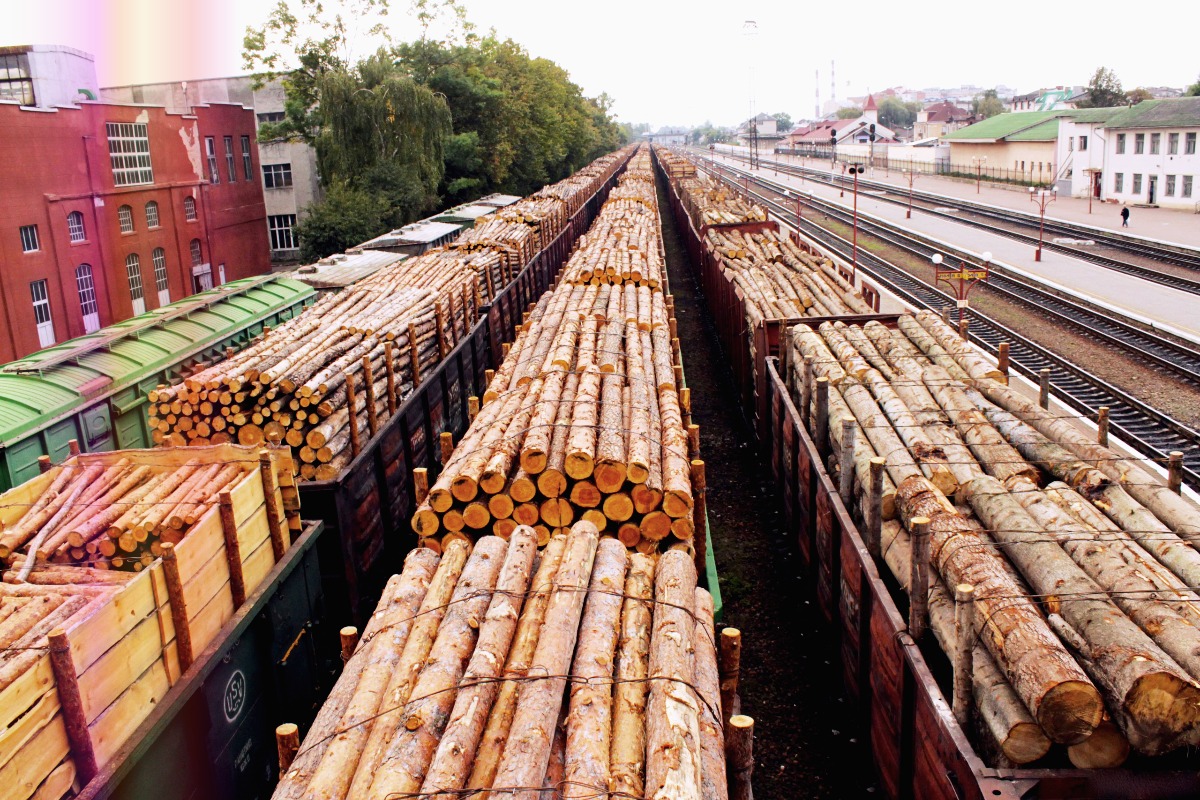 Экспорт лесоматериалов в Китай