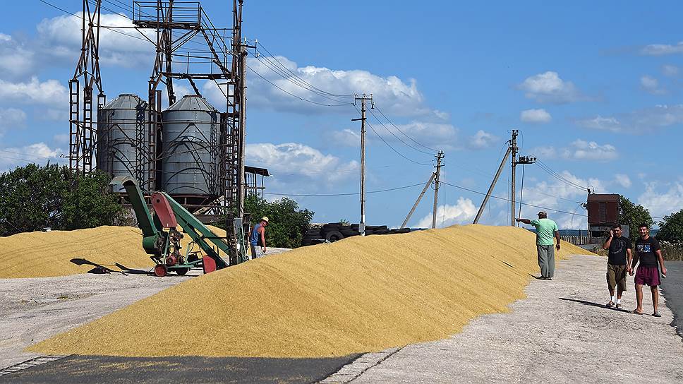 Россия продаст запасы интервенционного зерна