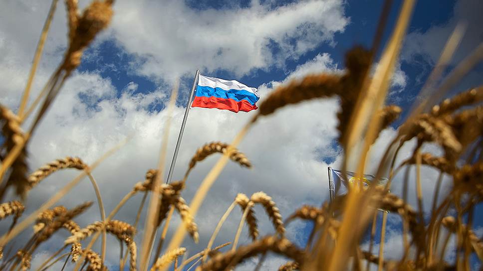 Суровая рука рынка: в России рухнули цены на зерно