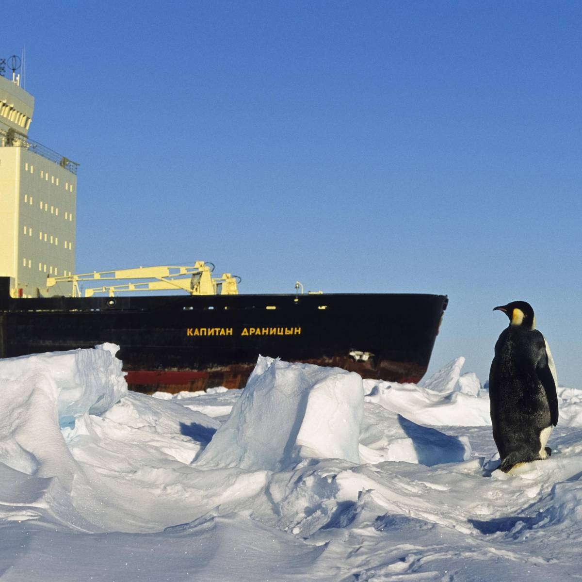 Экономическое чудо в Арктике