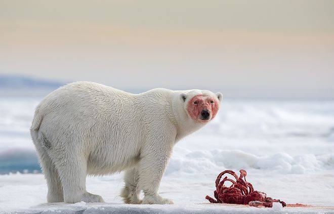 В борьбе за Арктику найден компромисс
