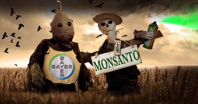 Bayer купил Monsanto: Крупнейшая сделка в истории мирового агробизнеса