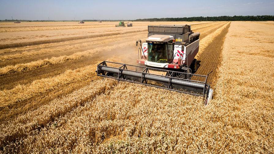 США: Россия вырвалась в лидеры экспортеров пшеницы
