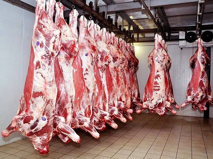 Свое мясо больше не нужно? Россия открыла рынок для зарубежных поставок