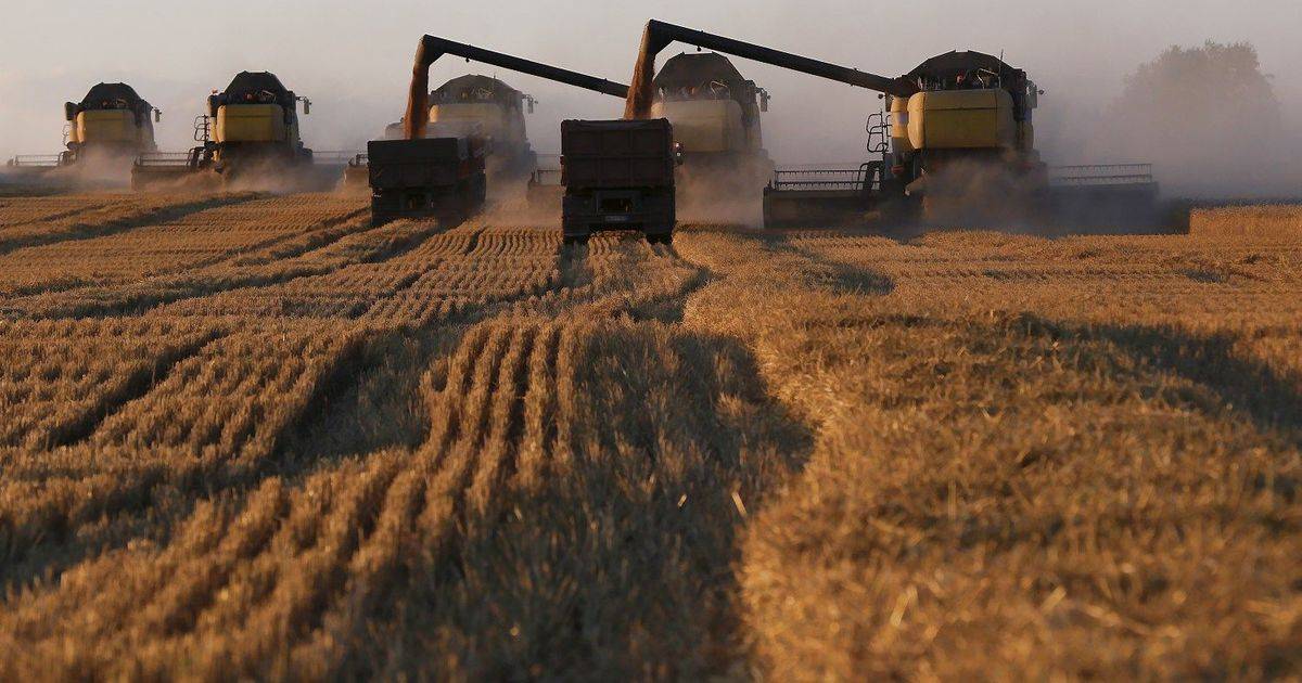 Россия - хлебная супердержава: итоги сельскохозяйственного года