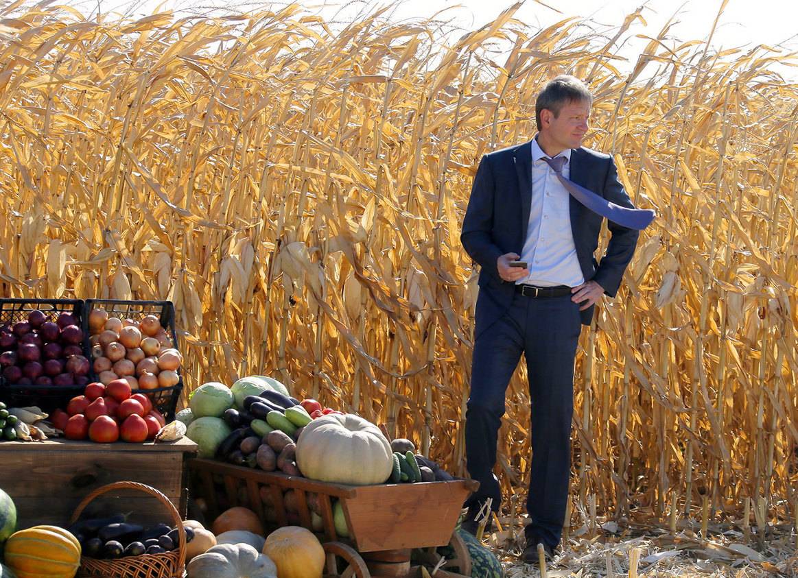 Урожай в безопасности: Россия застраховала всех аграриев страны
