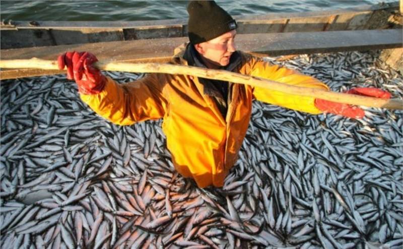 Решили похозяйничать? Японские рыбаки пойманы у Курил