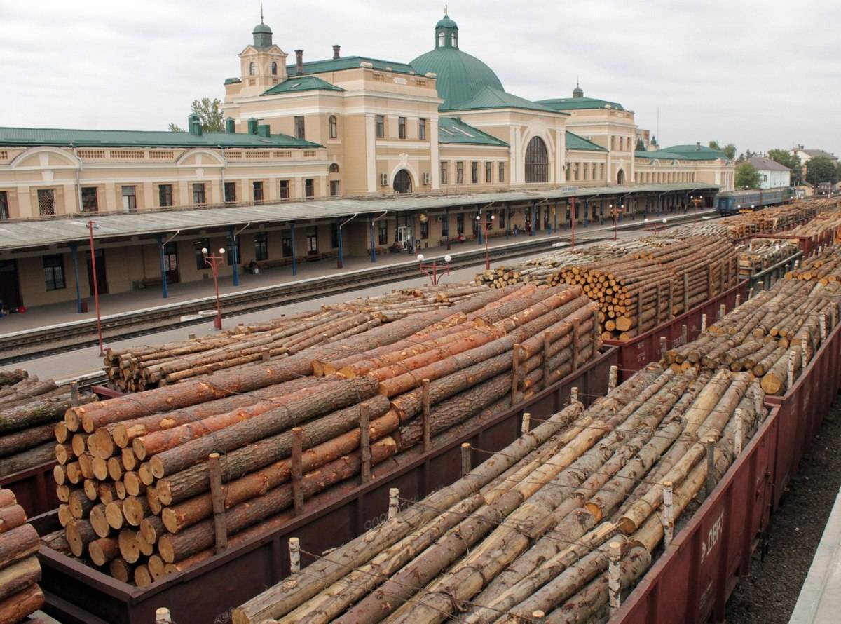 Кругляк останется в России? Матвиенко потребовала ввести эмбарго на вывоз леса