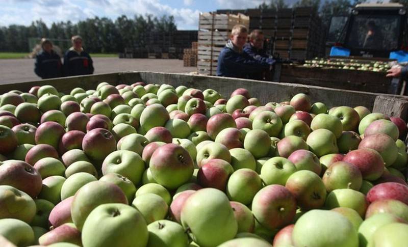 Россия угрожает запретить ввоз овощей и фруктов из Белоруссии