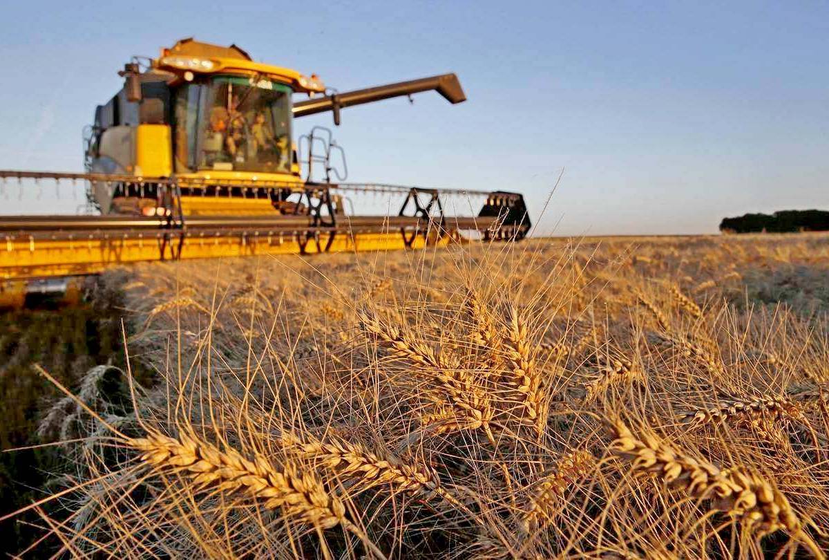 Как потепление нарастит экспорт российского зерна