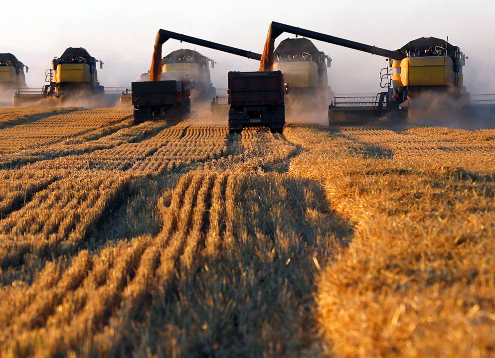 Россия «выталкивает» европейцев с зернового рынка