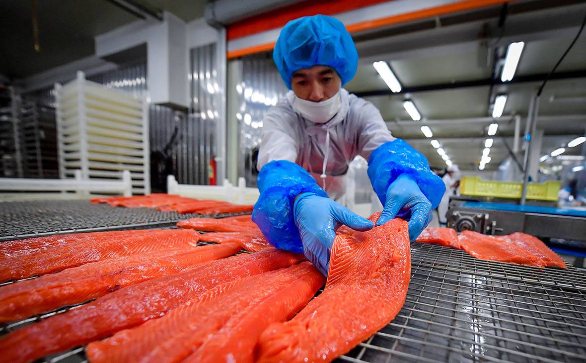 Как санкции «подняли» рыбную промышленность России