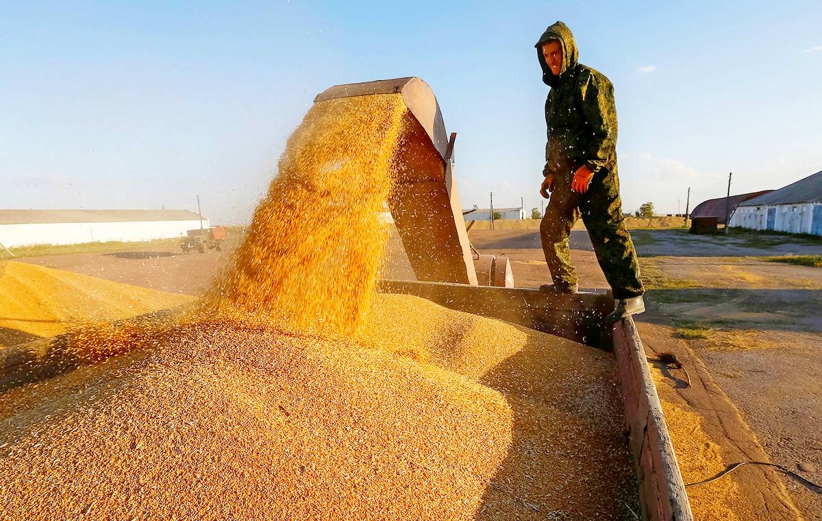 Российское зерно во время пандемии – опасное оружие, пишут СМИ США
