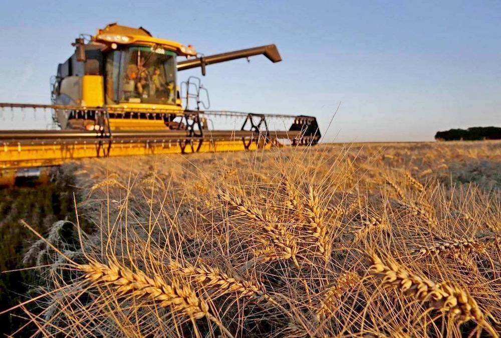 «Зерновая дипломатия» позволяет России «завоевывать» мировой рынок