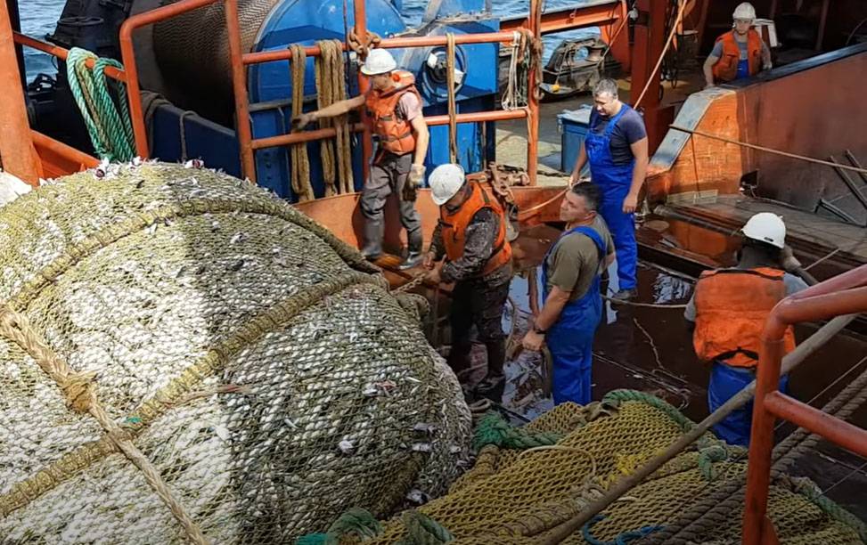Дела рыболовные: Путину доложили об улове минтая, лосося, скумбрии и о строительстве рыболовецких судов