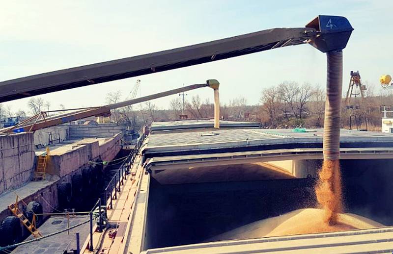 Экспертное мнение: рекорд цены на российское зерно ещё впереди
