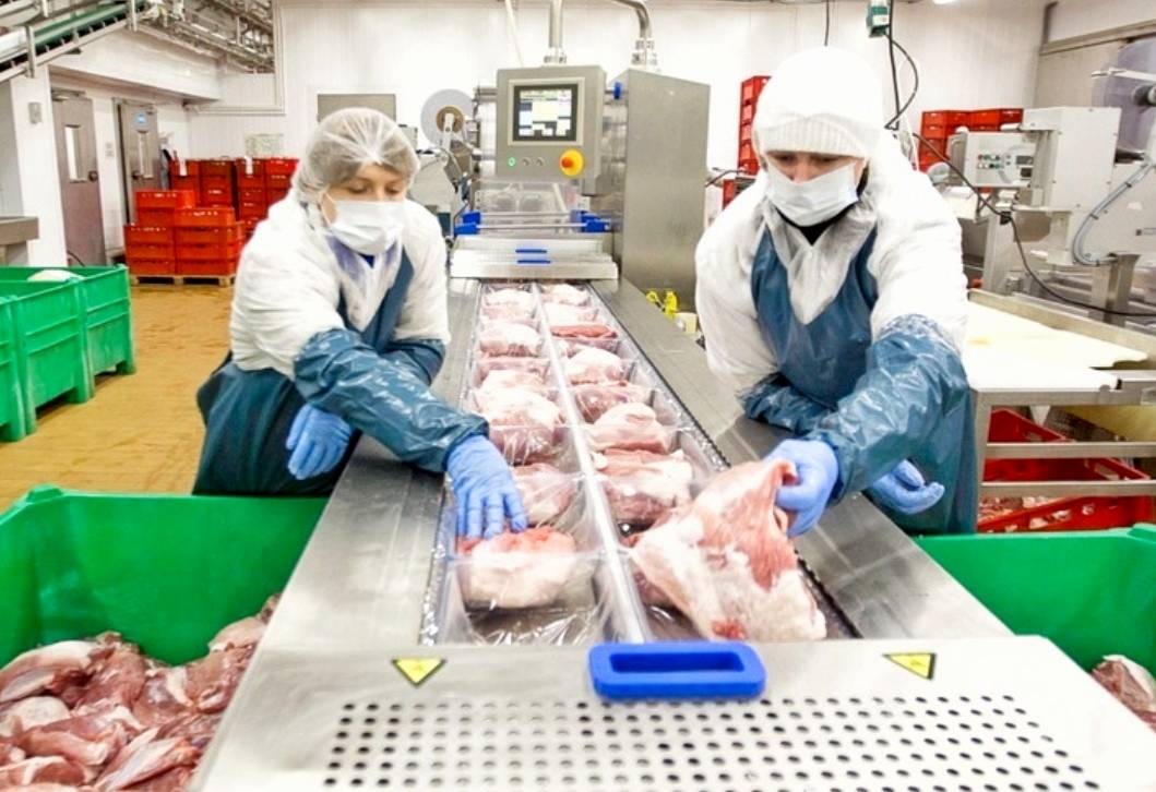 «Вытеснит местное мясо»: в Германии обеспокоены развитием животноводства РФ
