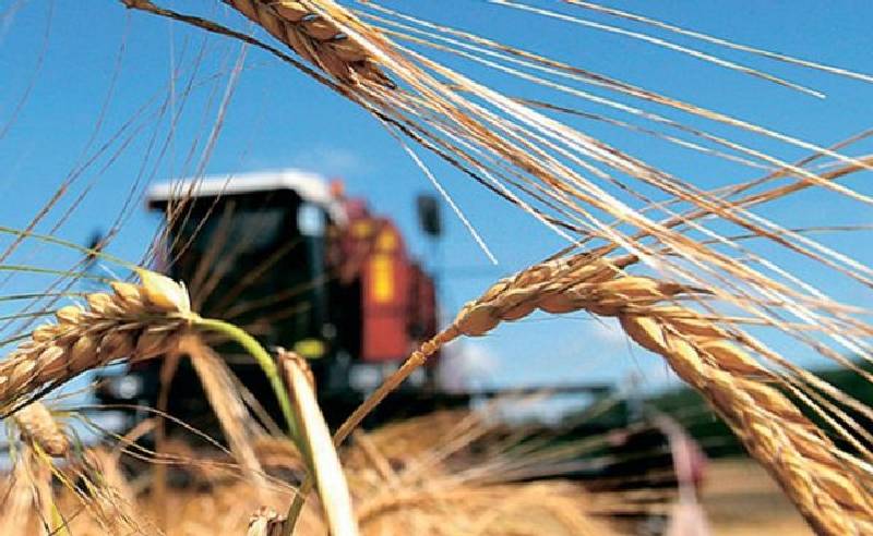 Стабилизация ценой потерь: Россия превратится из экспортера в «замкнутый» амбар с зерном