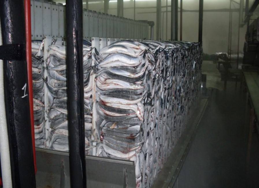 «Ответный удар»: Россия запретила ввоз китайской рыбной продукции