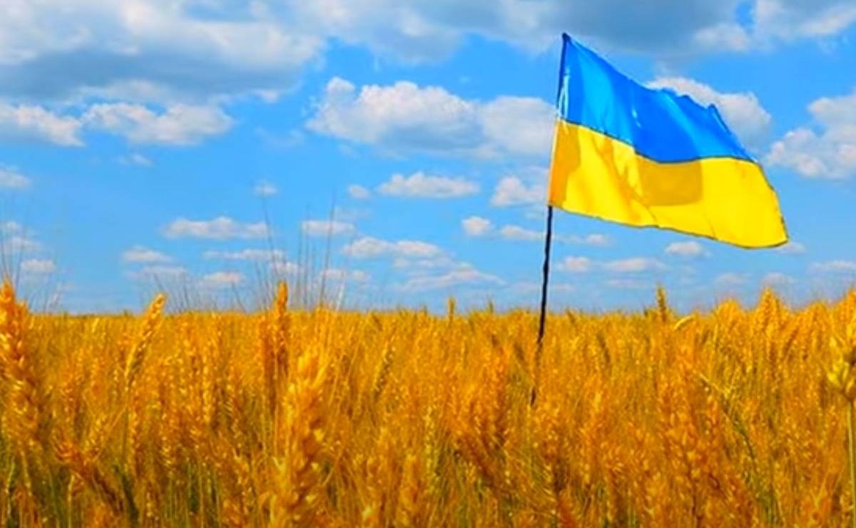 Все ради кредита от МВФ: на Украине стартует «большая распродажа» госсобственности
