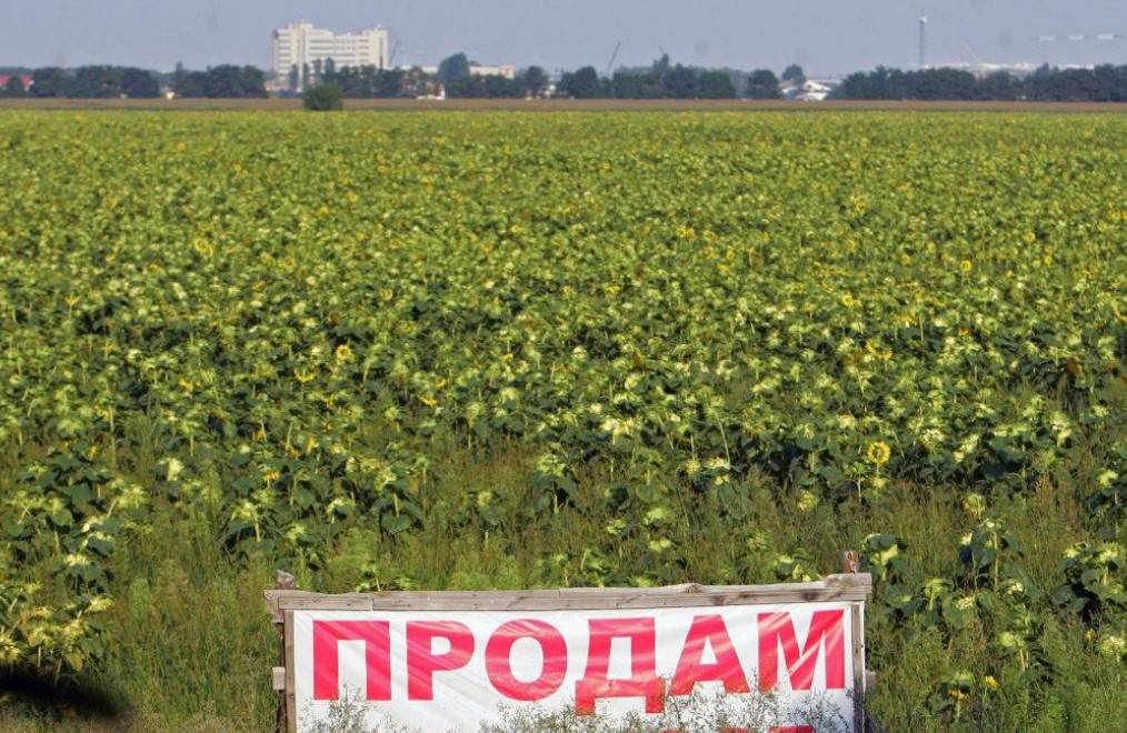 «Украдено два Крыма»: завершив земельную реформу, Зеленский продаёт всю страну
