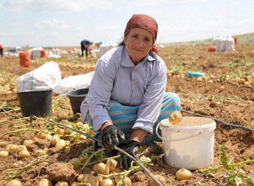 Сколько трудовых мигрантов на самом деле трудится в Казахстане?
