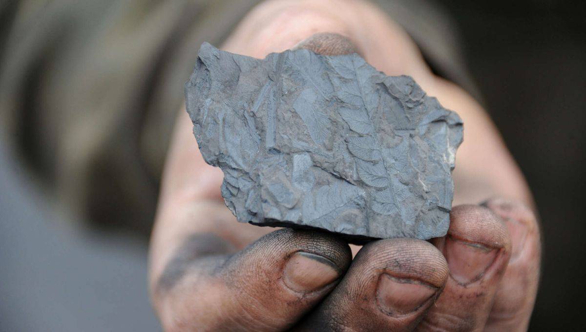 Запасы угля на Украине критически малы