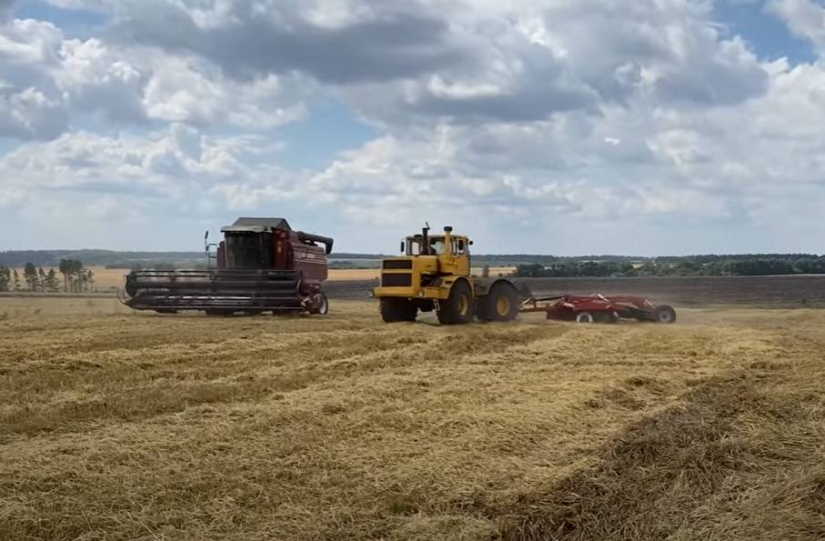 Украинский экономист объяснил, почему при рекордном урожае зерновых в стране дорожает хлеб